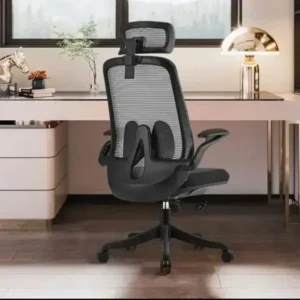 black mesh office chair, ergonomic executive chair, headrest office chair India, high back computer chair, premium workstation chair, executive mesh seating