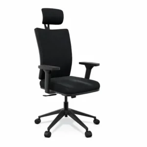 ergonomic office chair with headrest, high back office chair, adjustable armrest chair, office chair India, workstation chair, ergonomic chair for long hours